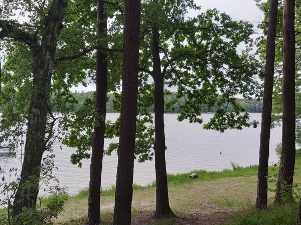 Domki letniskowe Makowo Las Jezioro raj dla rowerzystów 