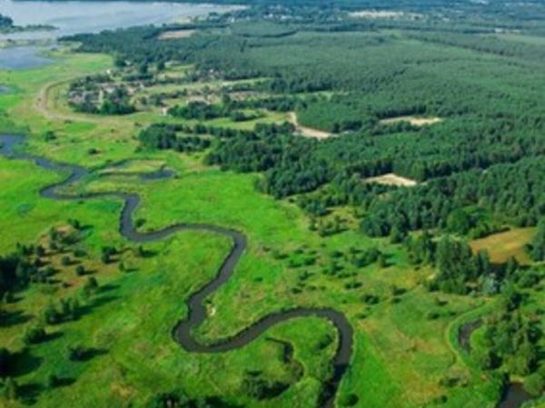 Okolica / Rzeka i Jezioro