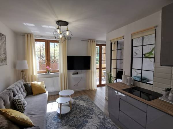 salon z aneksem kuchennym