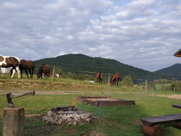 Letni Poranek - Domki w Bukowcu