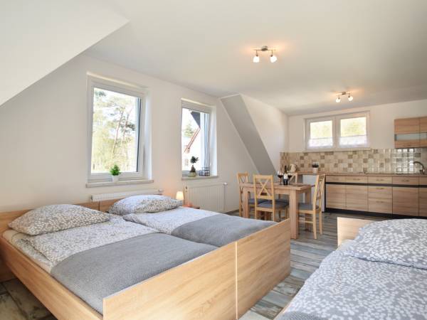 Wnętrze apartamentu w budynku.