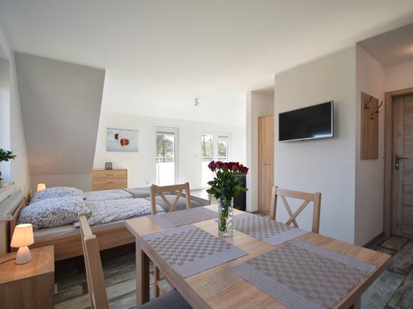 Wnętrze apartamentu w budynku.