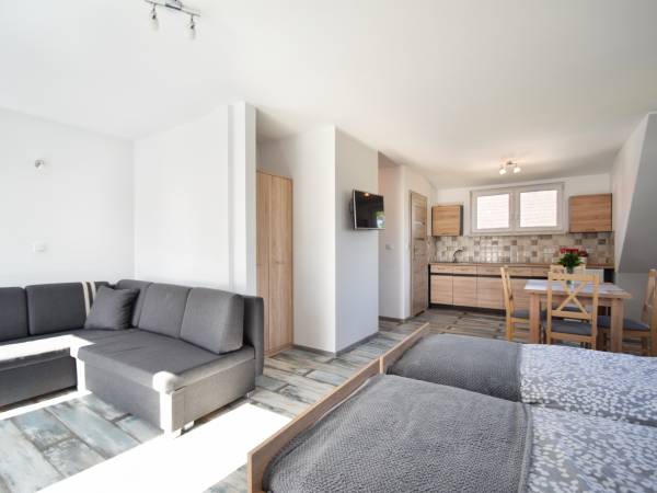 Wnętrze apartamentu w budynku.