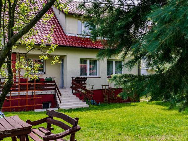 dom widziany spod choinki