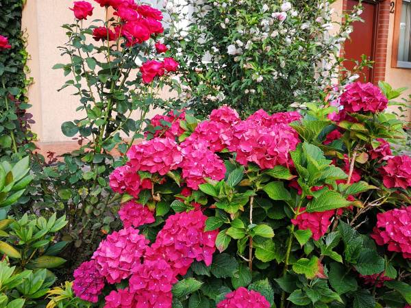 Ośrodek Wypoczynkowy Posnania - Butrans