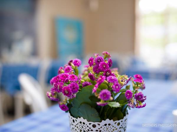 Rodzinny Klub Wypoczynkowy Niebieskie Migdały 