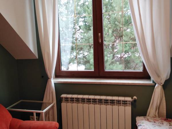 Pokój 1 os. z dostawką. Widok na sosnowy szpaler