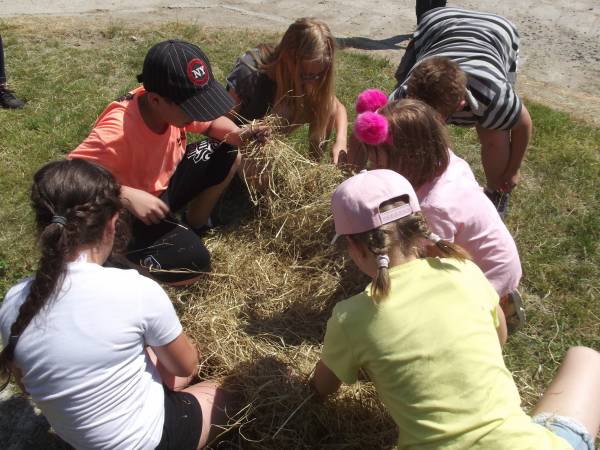 Gospodarstwo Agroturystyczne Marianówek