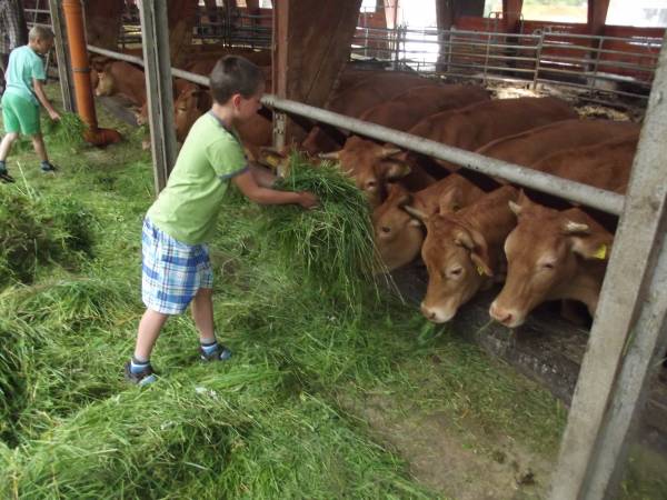 Gospodarstwo Agroturystyczne Marianówek