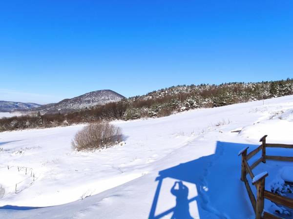 Całoroczny Domek z widokiem na jezioro