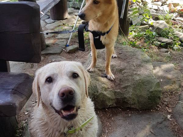 Dom nad Rycerskim Potokiem