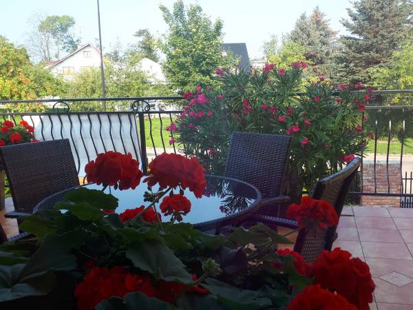 Delicja Dom Gościnny 