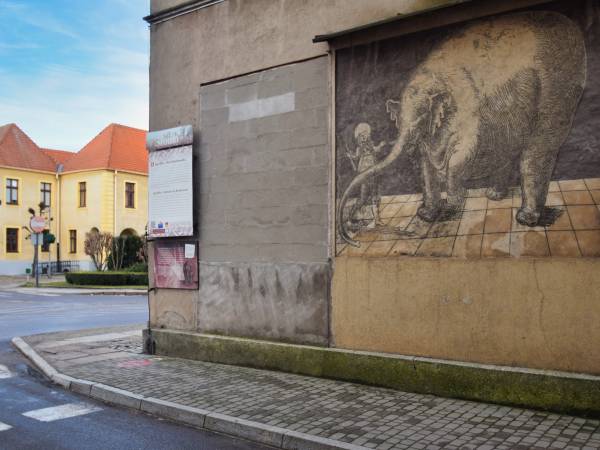 Sgraffito Słoń w Trzebiatowie