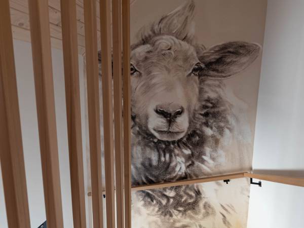 klatka schodowa z owieczka