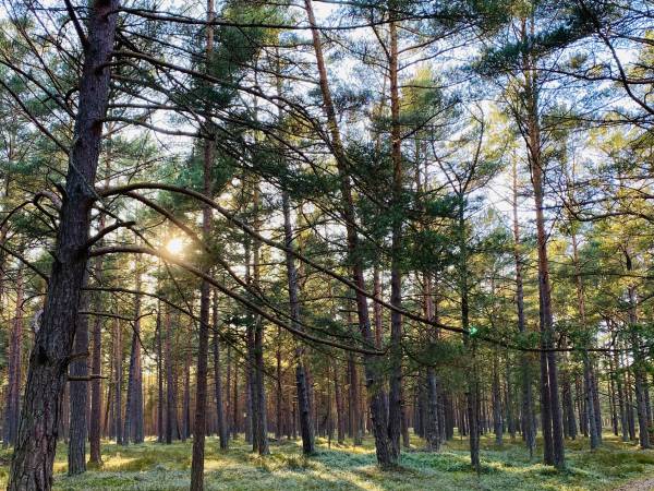 Jachtowa 10 Lubiatowo