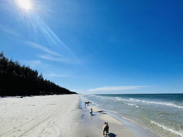 Jachtowa 10 Lubiatowo