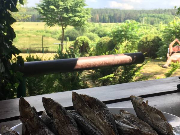 Agroturystyka u Tomasza