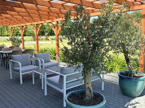 Pokoje Gościnne Kameralnie