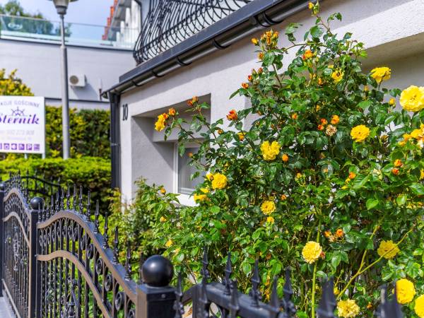 Dom Gościnny Sternik