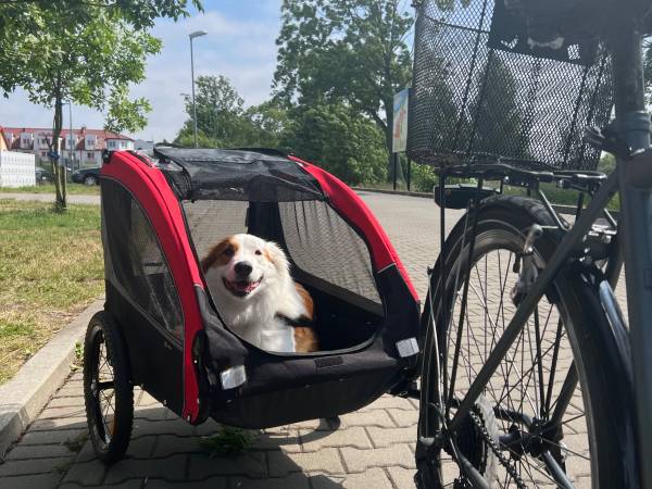 Domki Letniskowe Gala II