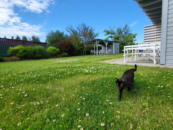 Domki letniskowe GRIS