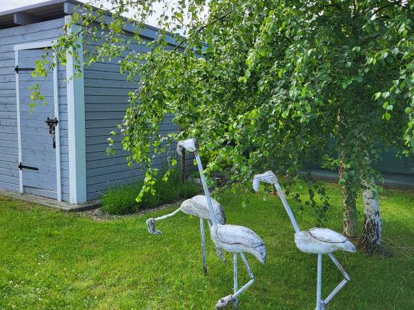 Domki letniskowe GRIS