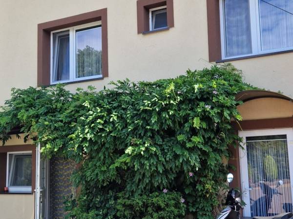 Pokoje Gościnne Pasja 