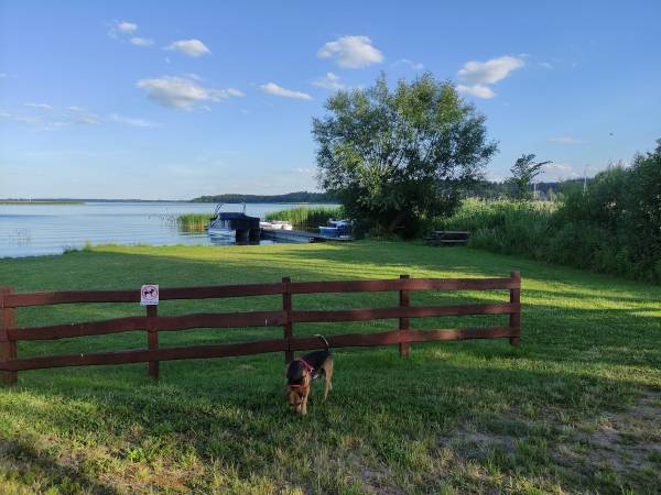 Domek i Pokoje Wilkasy