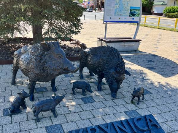 Willa Piano & Domki Lido