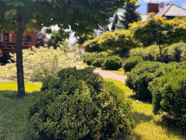 Domy Letniskowe Lido