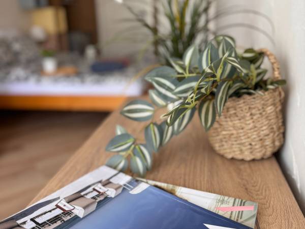 Willa Piano & Domki Lido