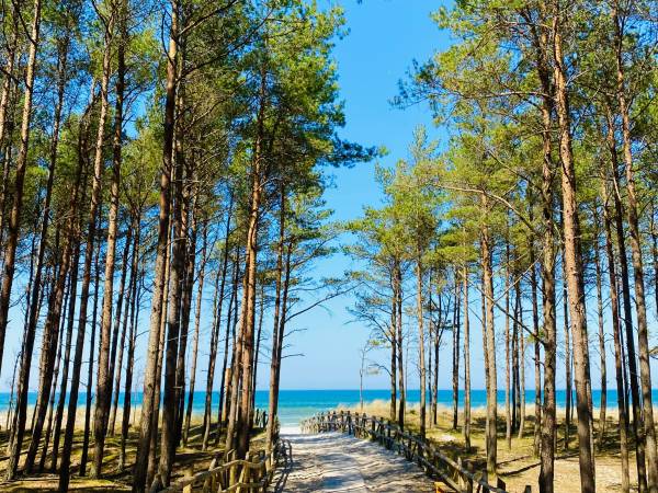 Nadmorska Ostoja Lubiatowo