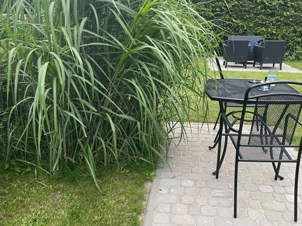 Pokoje Gościnne Maxim 