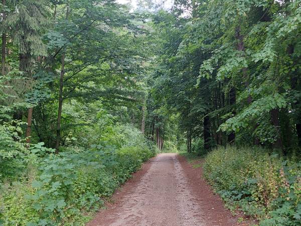 Pokoje Wypoczynkowe Sowa