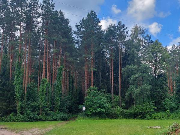 Pokoje Wypoczynkowe Sowa