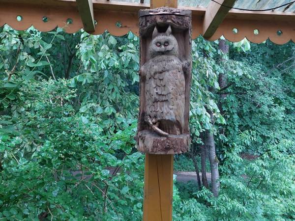 Pokoje Wypoczynkowe Sowa