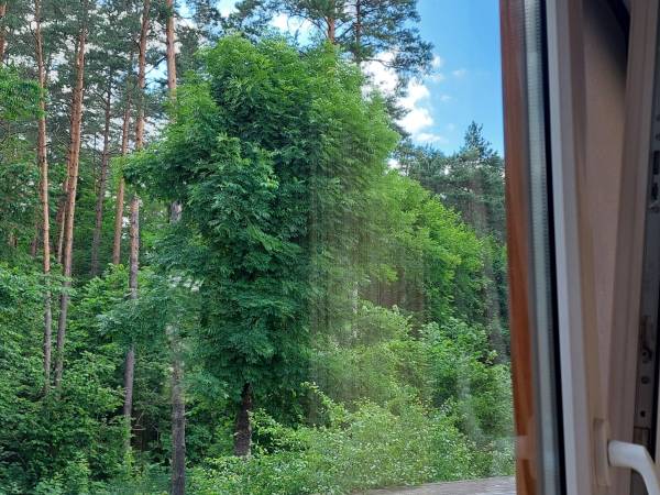 Pokoje Wypoczynkowe Sowa