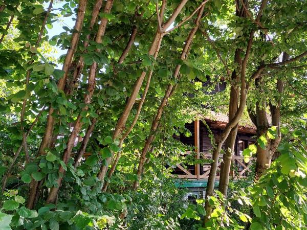 Pokoje Wypoczynkowe Sowa