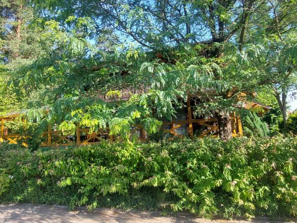 Pokoje Wypoczynkowe Sowa