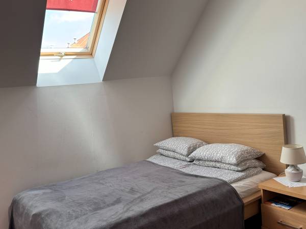 Wynajem pokoi Zośki