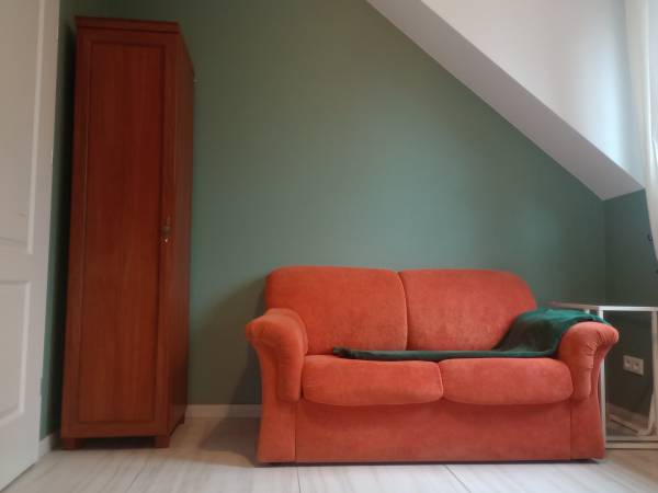 Sofa w pokoju z widokiem na sosny