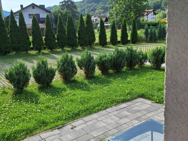 LEŚNY _widok z tarasu