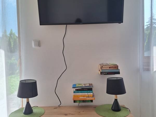 LEŚNY _salon na parterze i biblioteczka