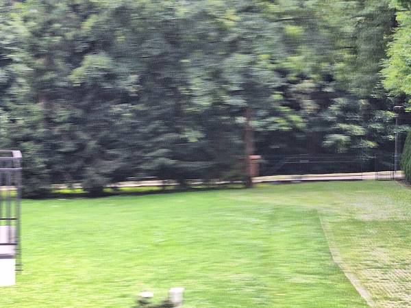 LEŚNY _widok z balkonu