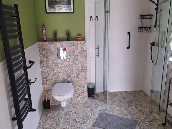 LEŚNY _łazienka na parterze