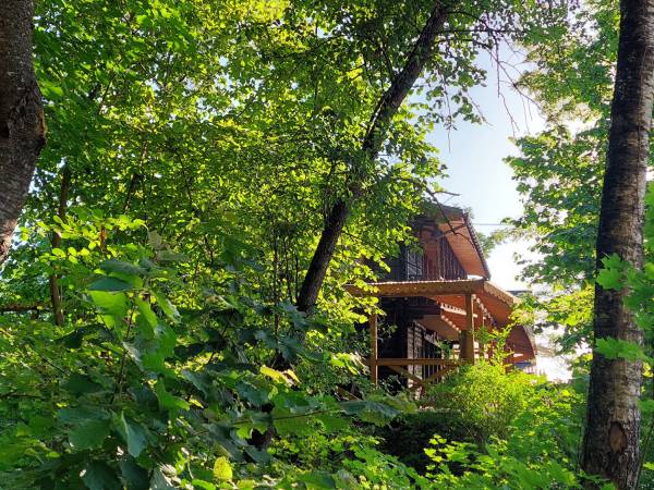 Pokoje Wypoczynkowe Sowa