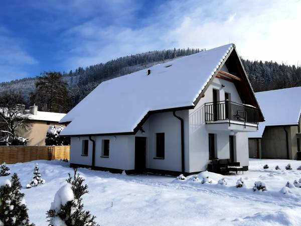 Domek w zimowej scenerii