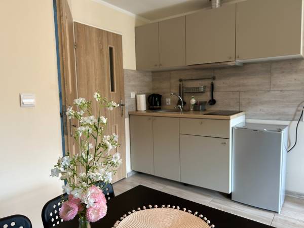 aneks kuchenny - apartamenty