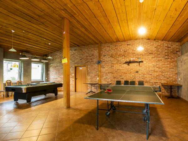 Salon gier: bilard, ping-pong, cymbergaj / air hockey
