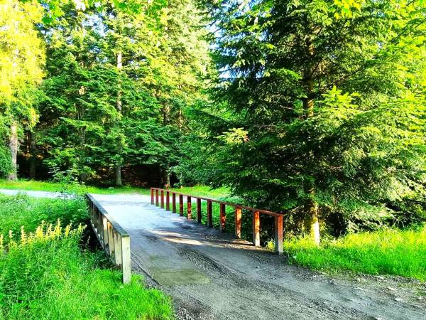 Domki Całoroczne Na Borach